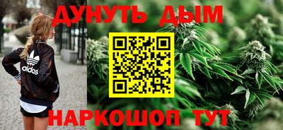 крисы Коммунар